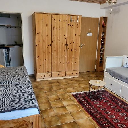 Apartment Betzenberg, Nur Netflix Kaiserslautern Esterno foto