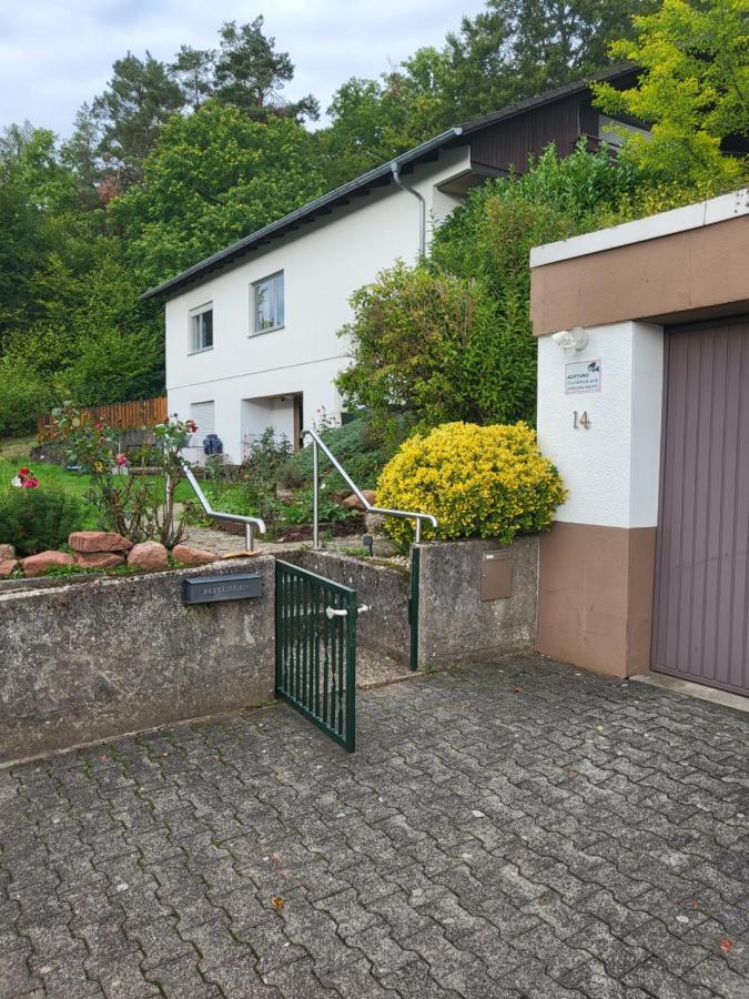 Apartment Betzenberg, Nur Netflix Kaiserslautern Esterno foto